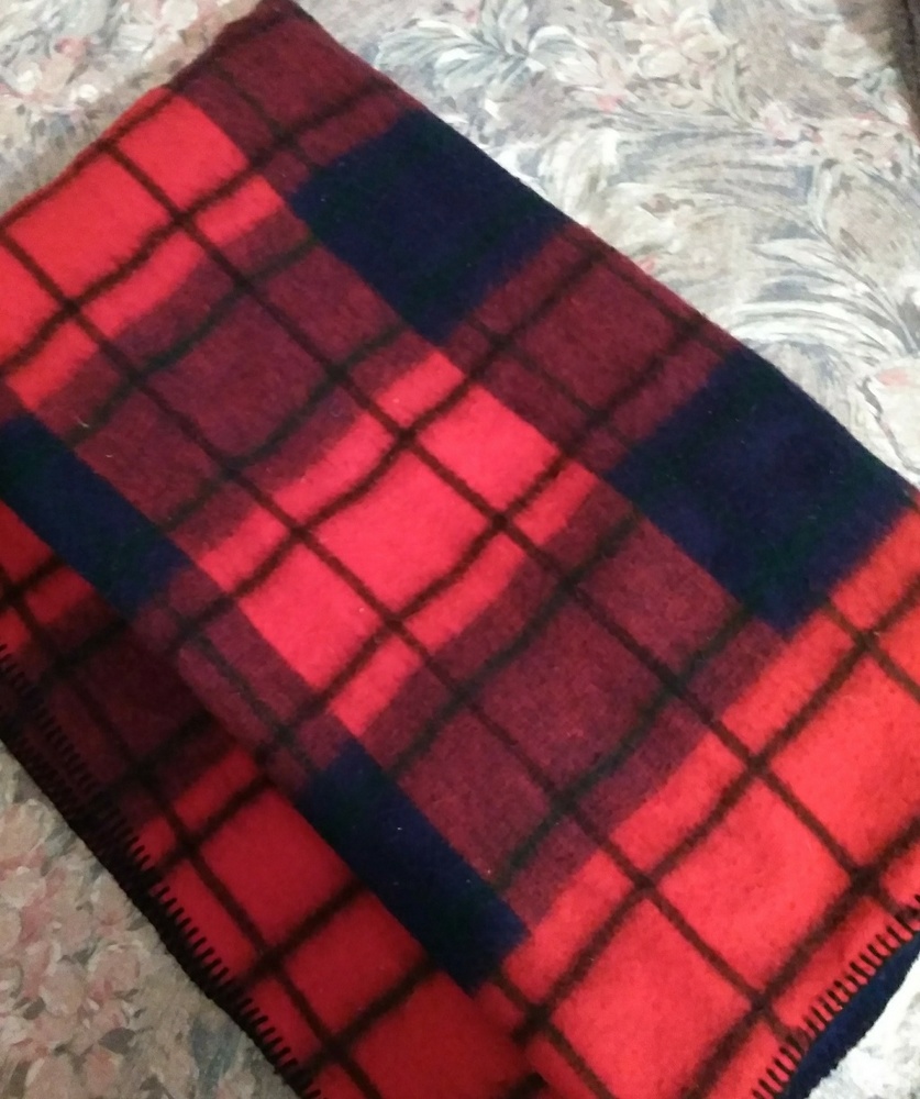 Sunbeam Automatic Heated Throw